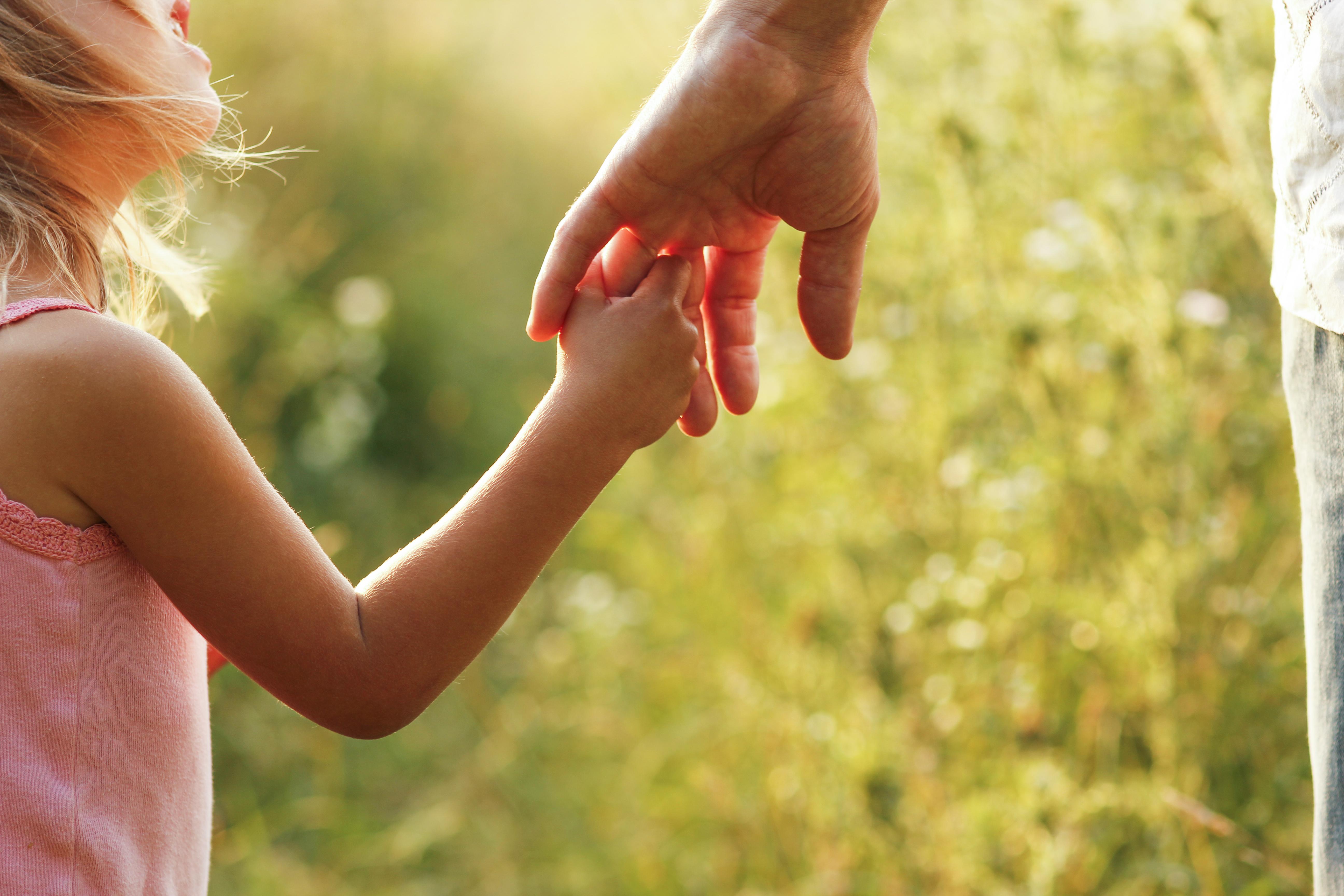 hands of parent and child outdoors in the park